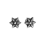 star 1024x1024